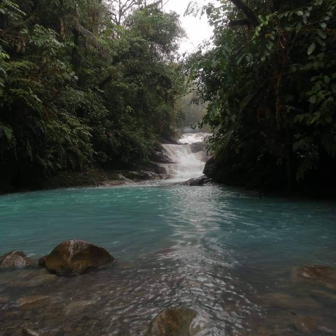 A vivid blue pool at the base of a waterfall, surrounded by moss-covered rocks and tropical foliage.