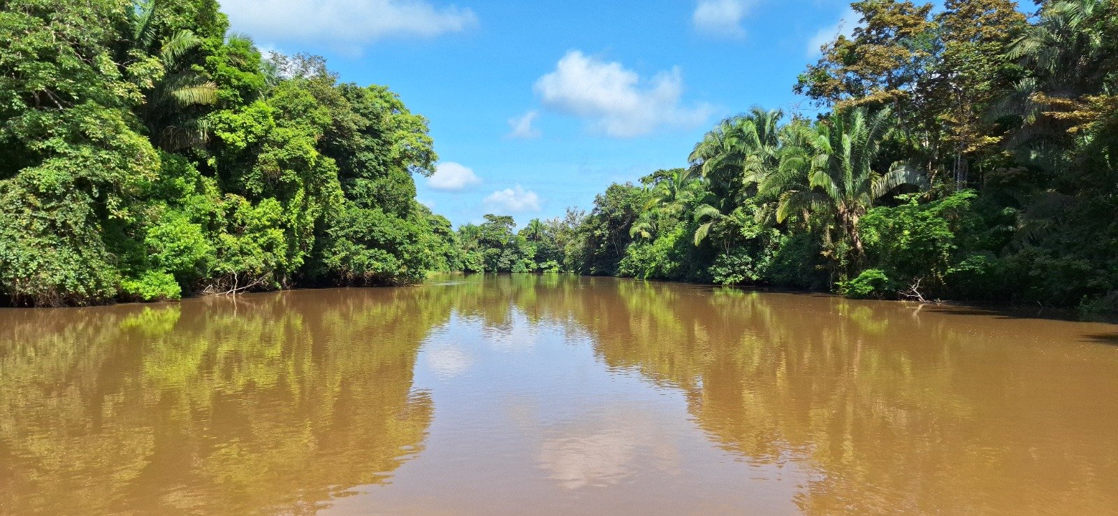 A calm river reflecting lush green trees under a blue sky.