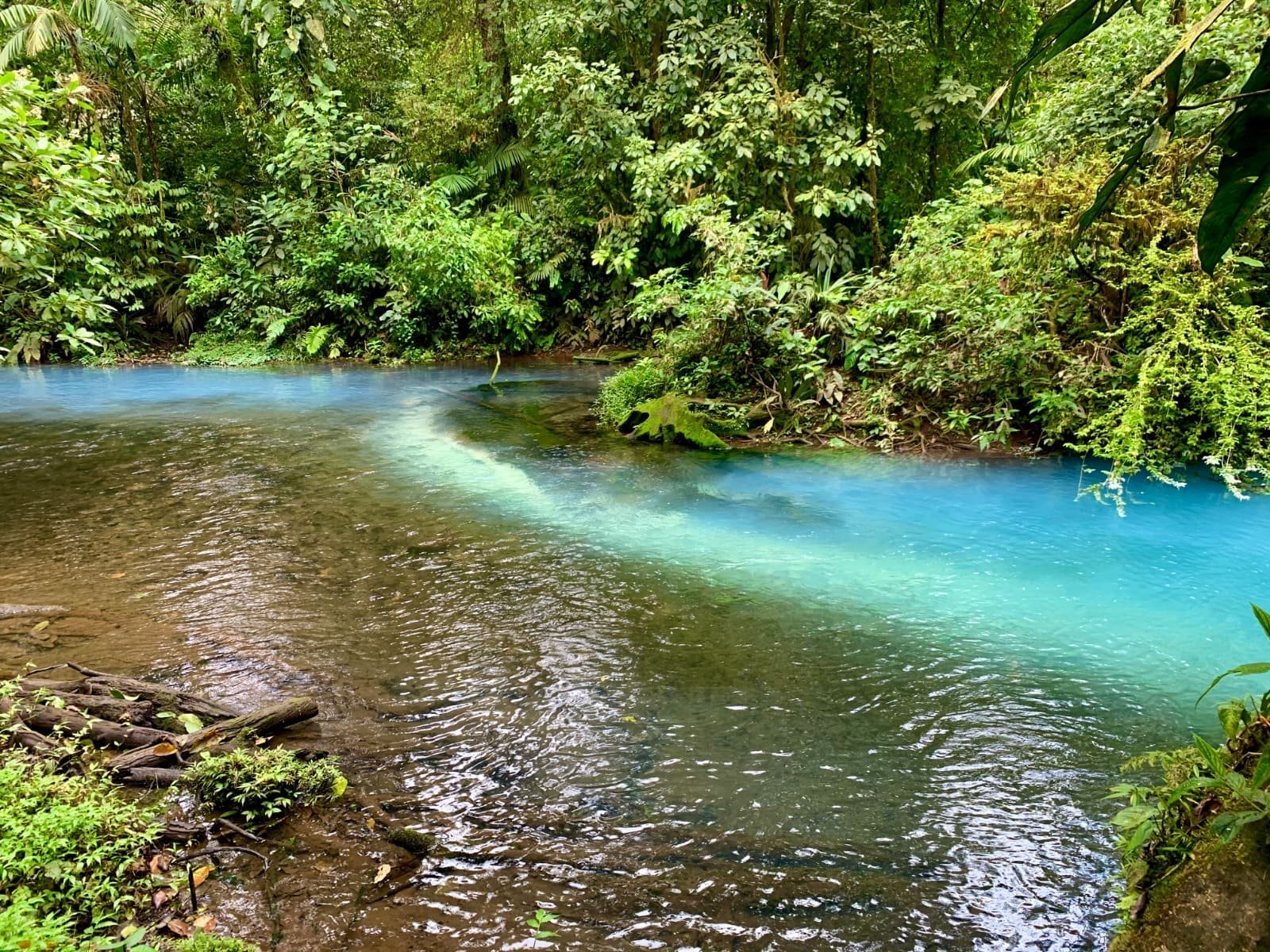 A mesmerizing view of the turquoise Rio Celeste winding through the forest, framed by vibrant green foliage.