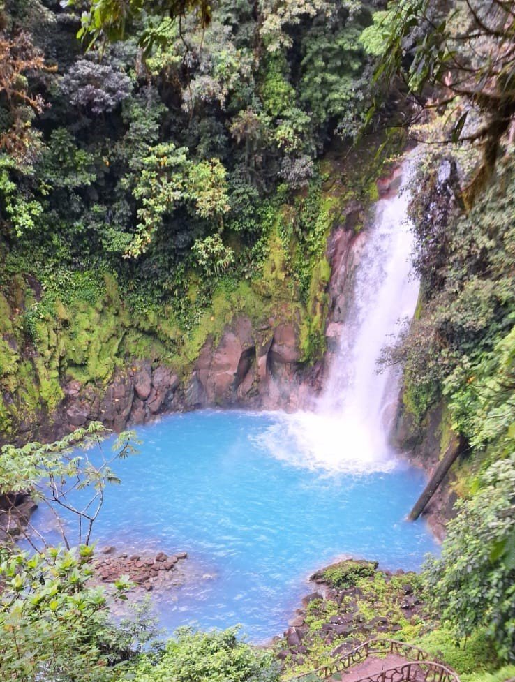 A stunning view of the Rio Celeste waterfall cascading into a vivid turquoise pool surrounded by lush green foliage. 