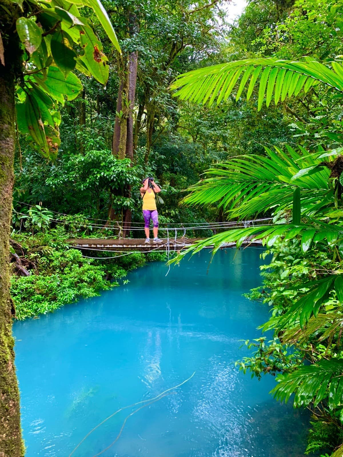 A person stands on a narrow hanging bridge, surrounded by lush green foliage, overlooking a river with striking turquoise water. 